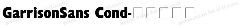 GarrisonSans Cond字体转换